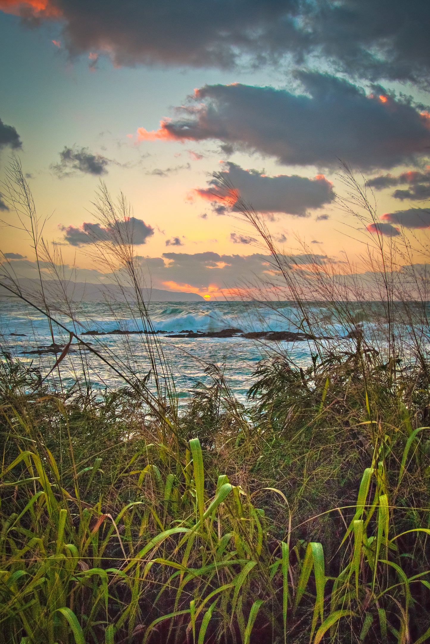 m l Pretty sunset through the grass across Sharks Cove and out to Kaena Point