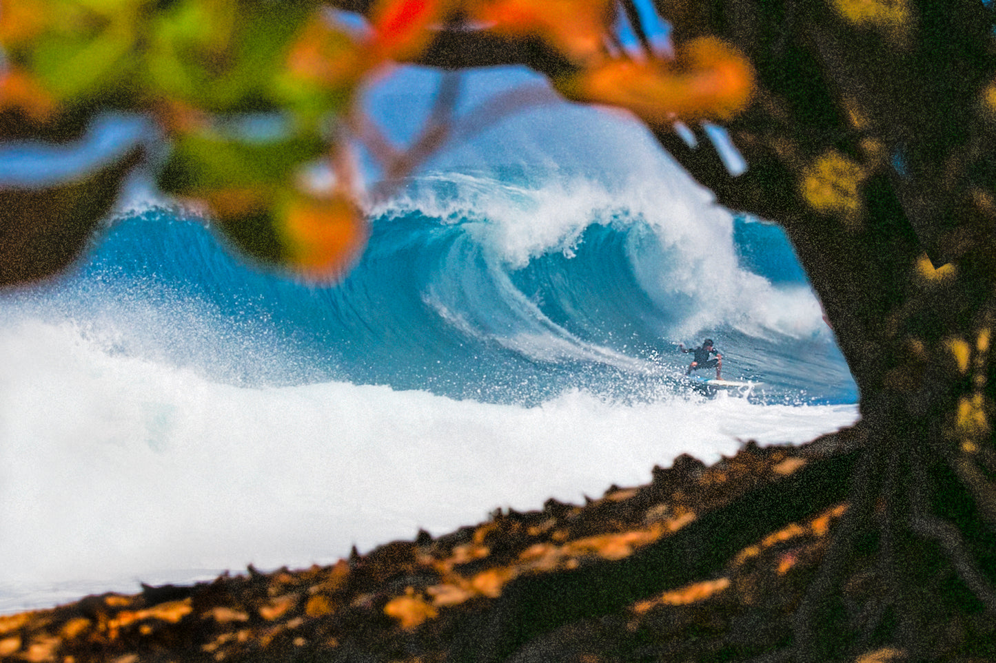 xe The Banzai Pipeline on the North Shore of Oahu Hawaii