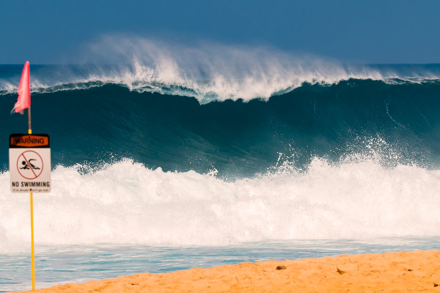 xs If you are going out in the water in Hawaii please get a surf check from the Hawai'ian Life Guards