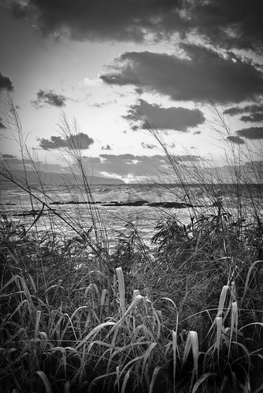 xt Through the leaves looking out over Waimea Bay towards Kaena Point and the sunset