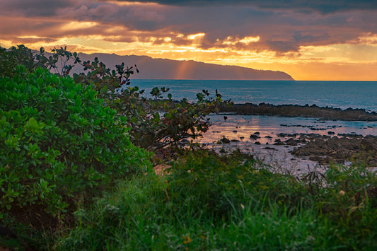 LE Suns Rays through the foliage and on to Kaeaa Point on the North Shore, Oahu._W3A2616