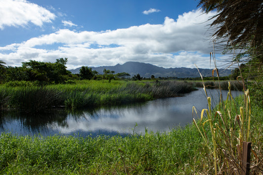 LE Looking across to Bishop Ranch North Shore, Oahu. W3A0973